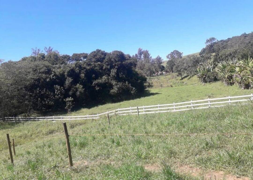 Sítio à venda com 2 quartos, 4000m² - Foto 36