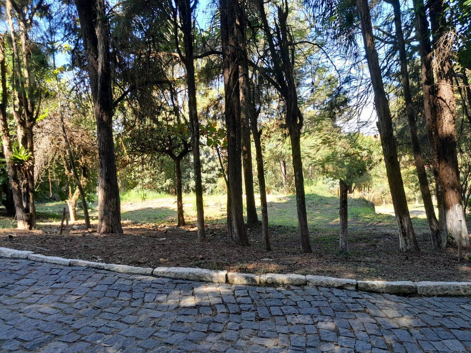 Terreno, 1100 m² - Foto 5