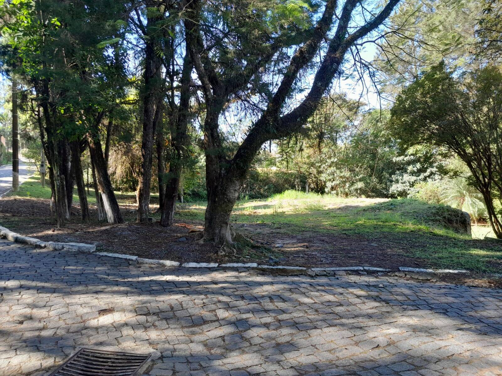 Terreno, 1100 m² - Foto 7