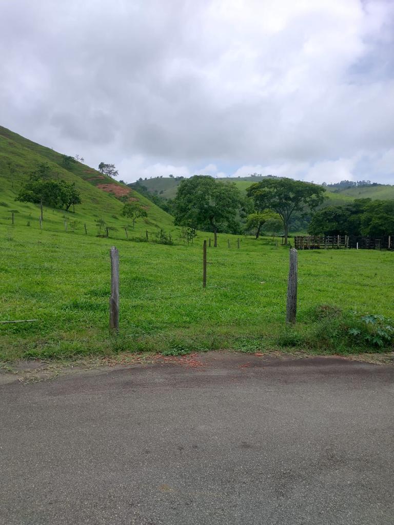 Terreno, 1279 m² - Foto 2