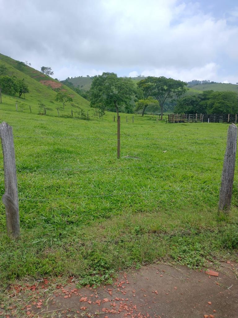 Terreno, 1279 m² - Foto 3