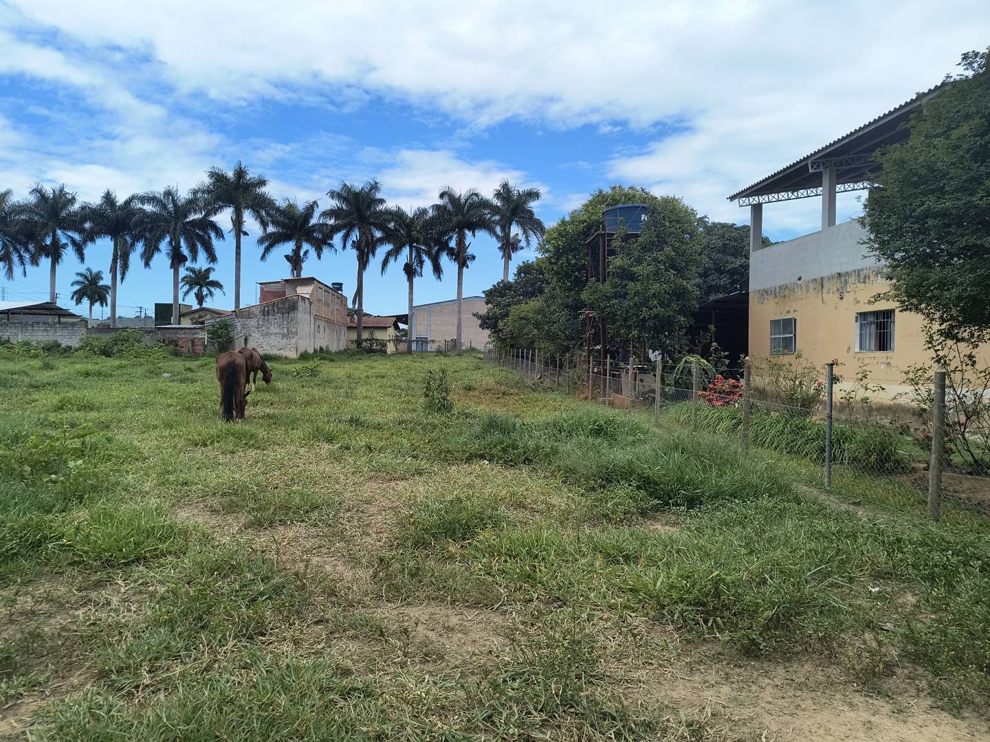 Terreno, 1127 m² - Foto 6