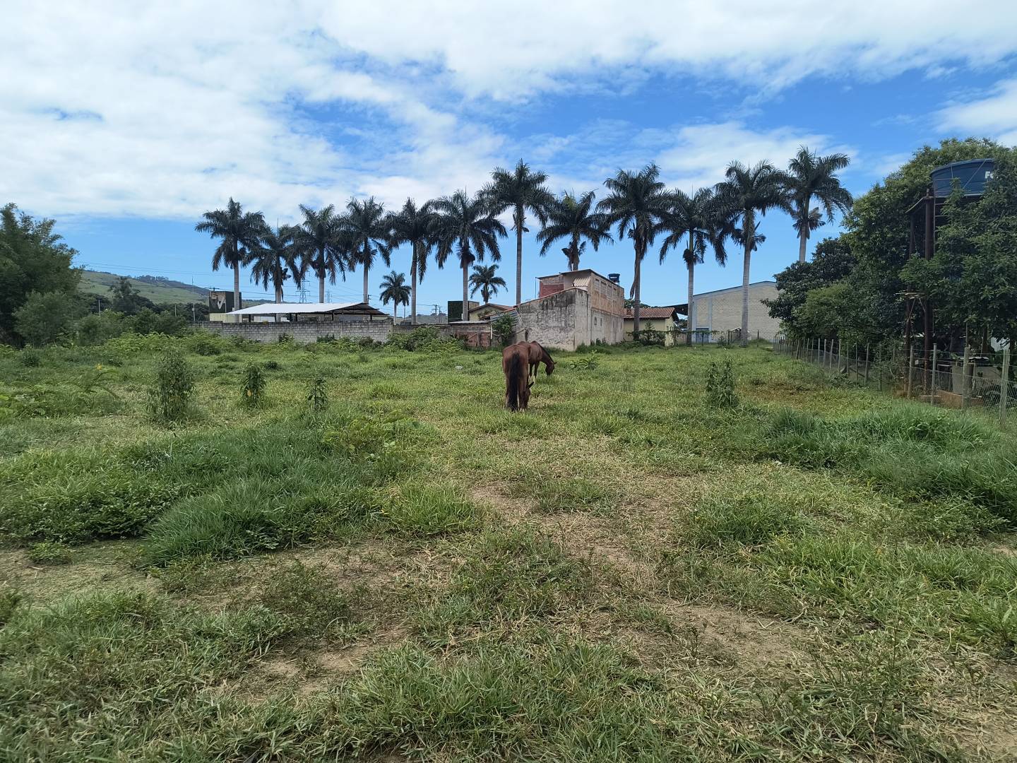 Terreno, 1127 m² - Foto 7