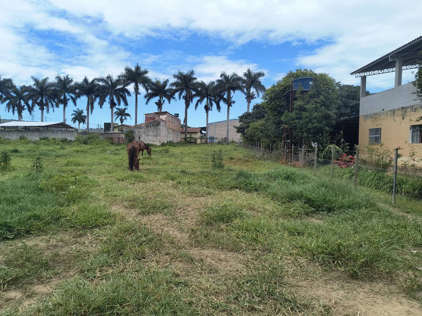 Terreno, 1127 m² - Foto 8