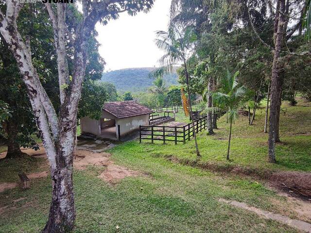 #547 - Sítio para Venda em Guaratinguetá - SP - 1