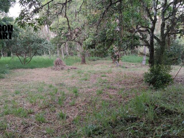 Venda em Jardim São Manoel - Guaratinguetá