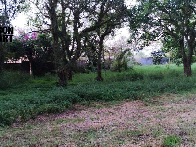 #19 - Terreno para Venda em Guaratinguetá - SP - 2