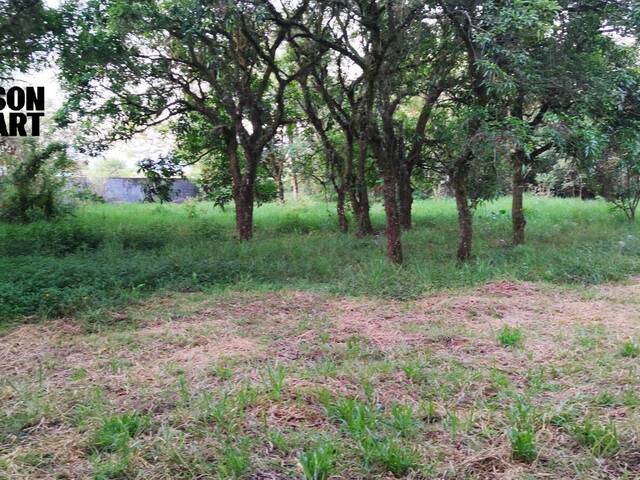 #19 - Terreno para Venda em Guaratinguetá - SP - 3