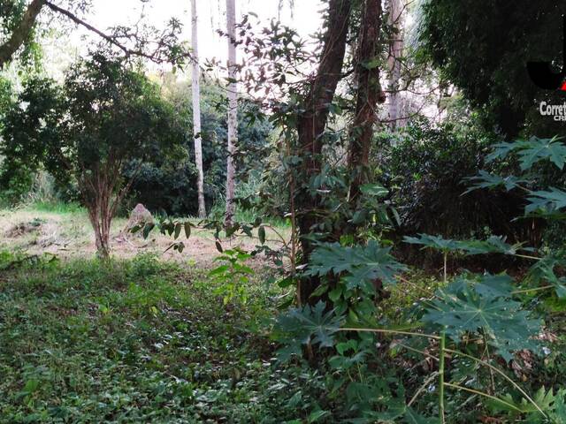 Terreno para Venda em Guaratinguetá - 4