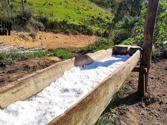 Venda em Área Rural de Guaratinguetá - Guaratinguetá