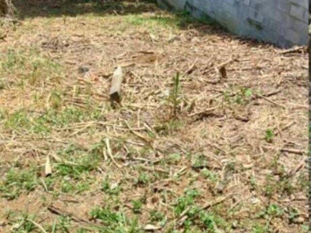 #492 - Terreno para Venda em Guaratinguetá - SP - 3