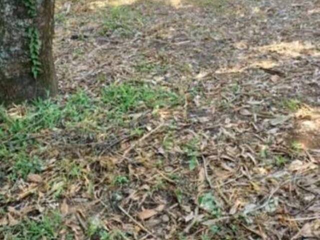 #492 - Terreno para Venda em Guaratinguetá - SP - 2