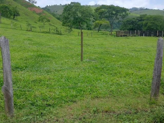 #627 - Terreno para Venda em Roseira - SP - 3