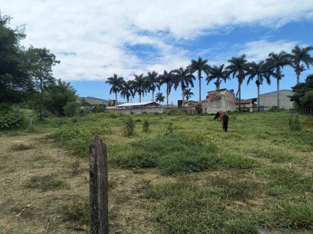 #647 - Terreno para Venda em Roseira - SP