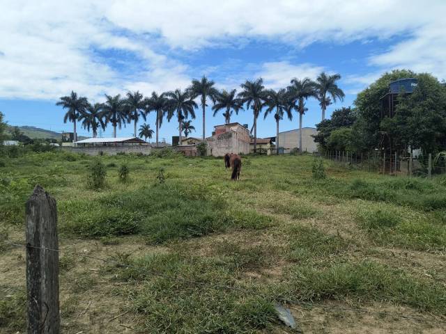 #647 - Terreno para Venda em Roseira - SP