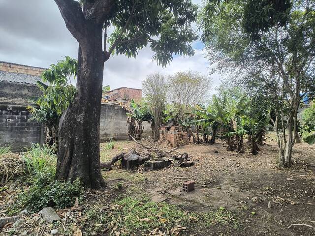 #655 - Terreno para Venda em Aparecida - SP