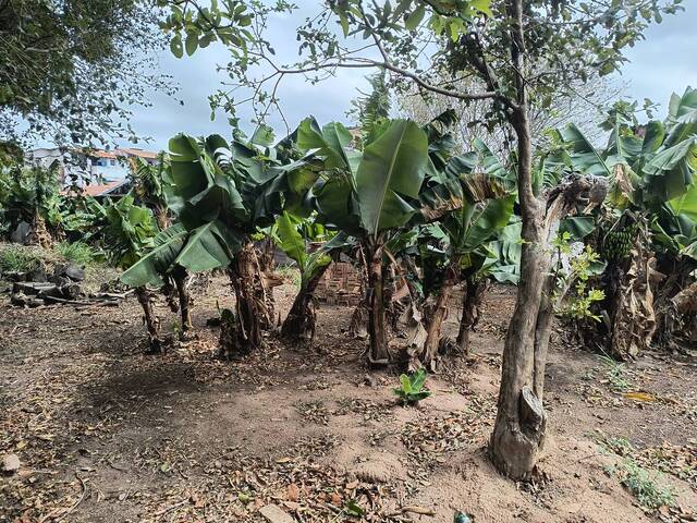Terreno para Venda em Aparecida - 5