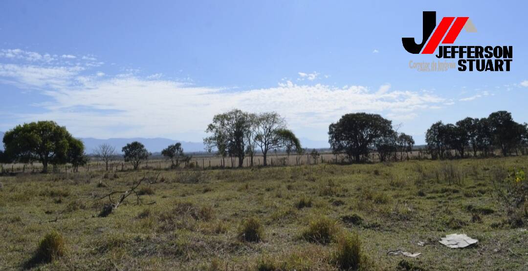 Terreno, 4000 m² - Foto 5