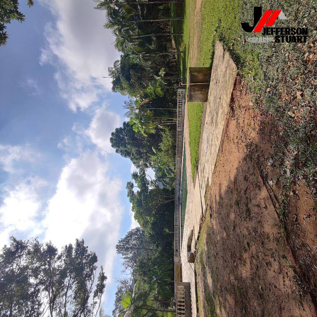 Sítio à venda com 2 quartos, 16m² - Foto 3