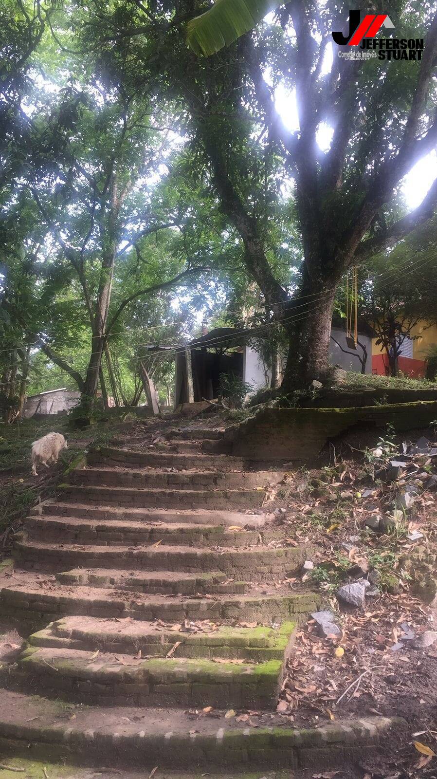 Chácara, 3 quartos, 2 m² - Foto 2