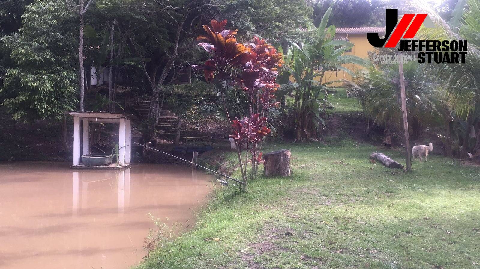 Chácara, 3 quartos, 2 m² - Foto 7