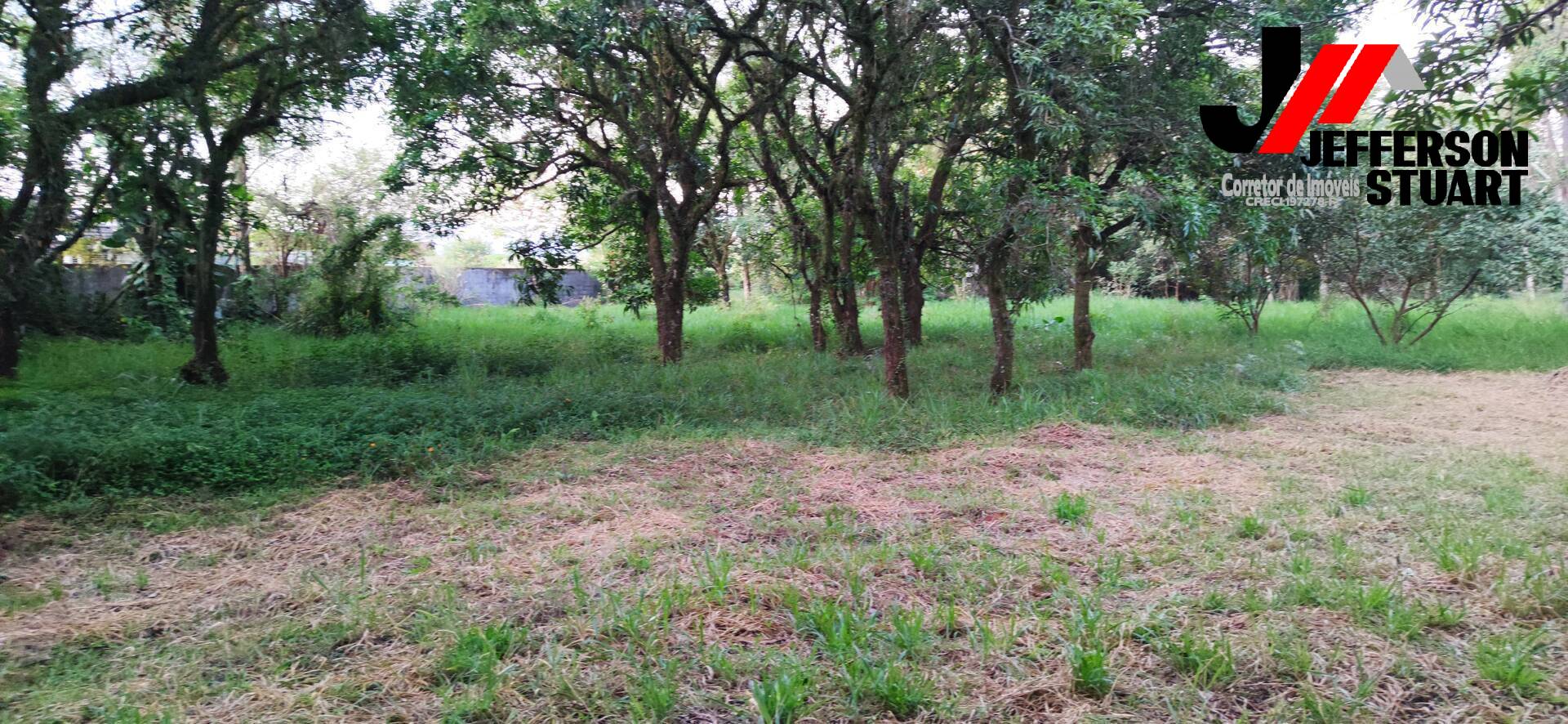 Terreno à venda, 1012m² - Foto 3