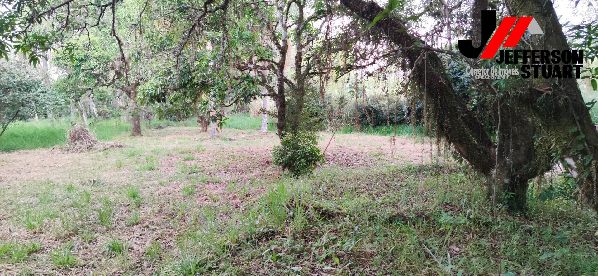 Terreno à venda, 1012m² - Foto 6