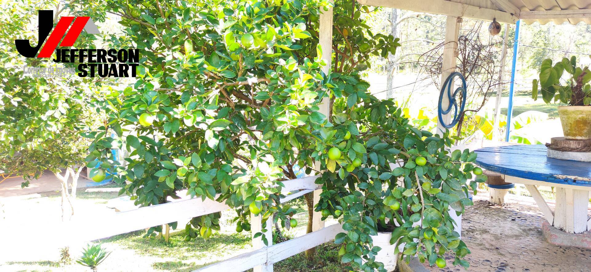 Sítio à venda com 4 quartos, 4m² - Foto 19