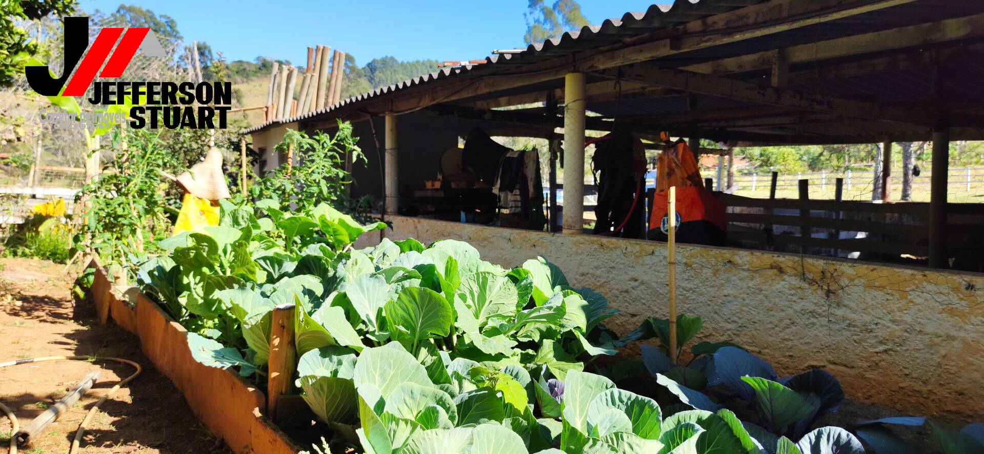 Sítio à venda com 4 quartos, 4m² - Foto 27