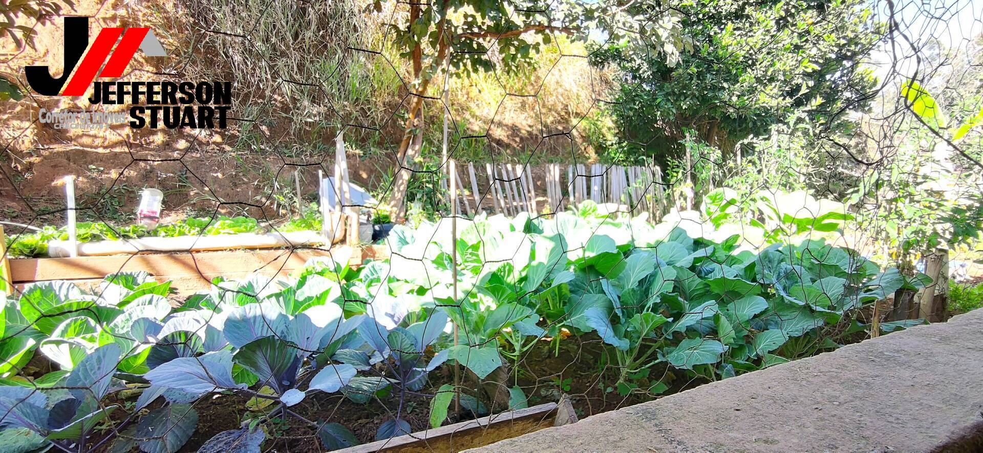 Sítio à venda com 4 quartos, 4m² - Foto 30