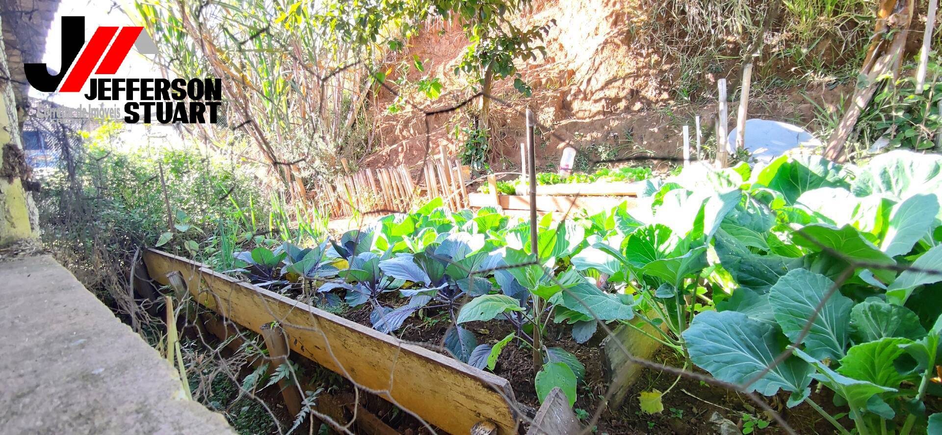 Sítio à venda com 4 quartos, 4m² - Foto 31