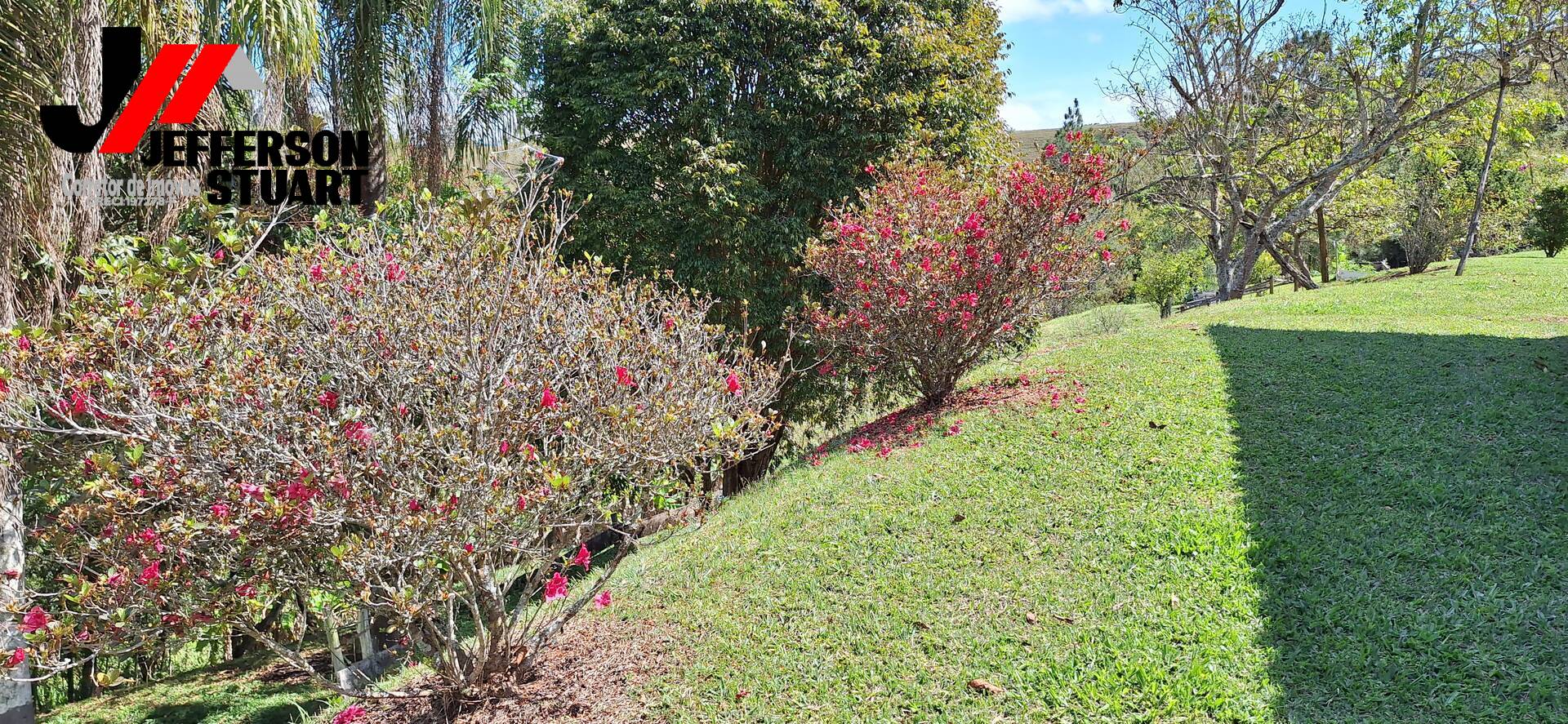 Sítio à venda com 8 quartos, 2m² - Foto 7
