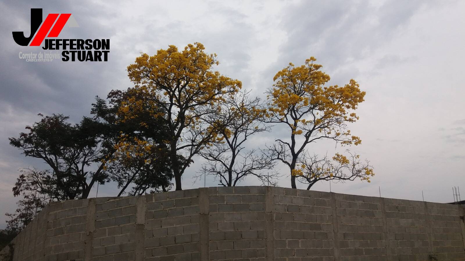 Terreno, 1100 m² - Foto 10