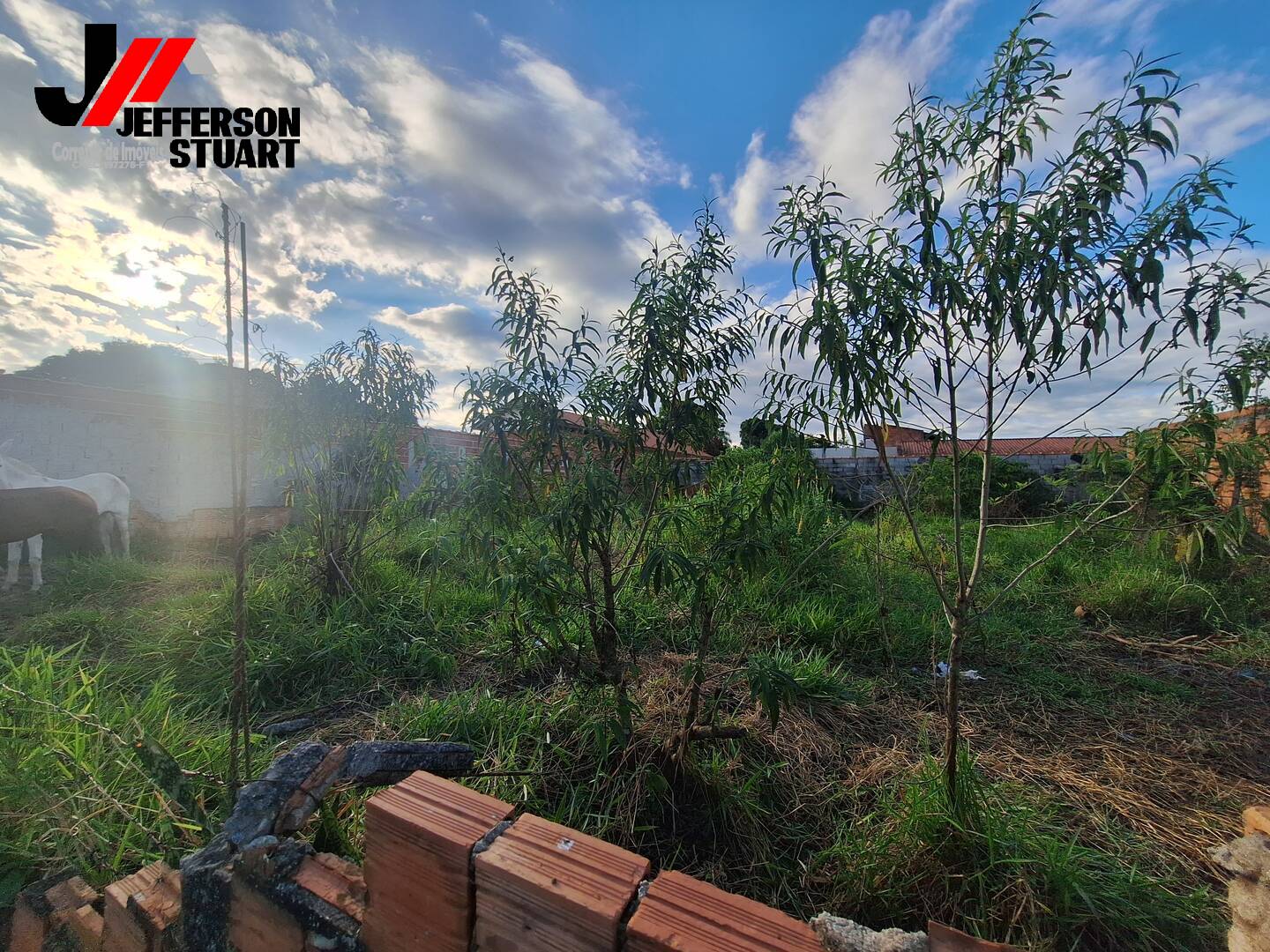 Terreno, 500 m² - Foto 9