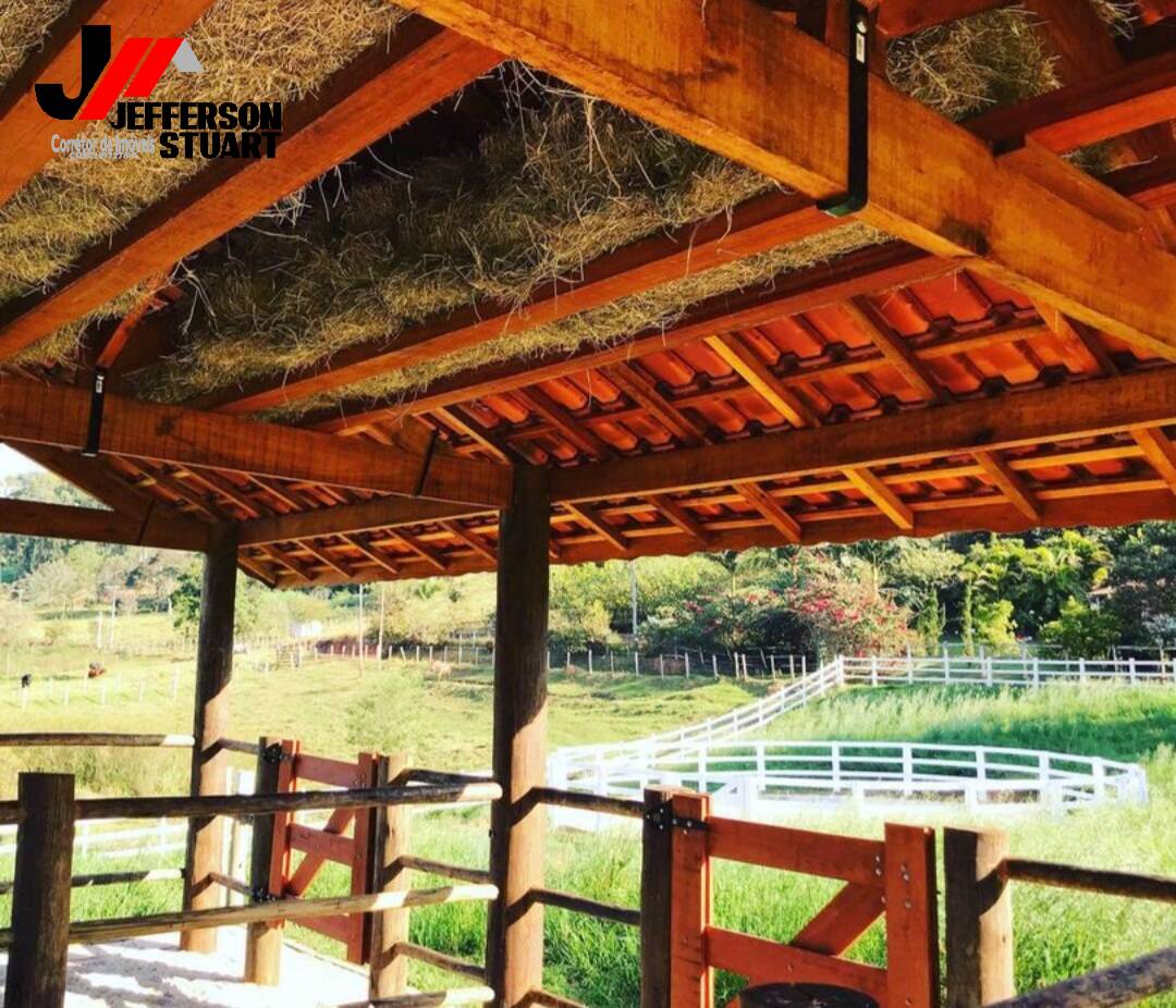 Sítio à venda com 2 quartos, 4000m² - Foto 9